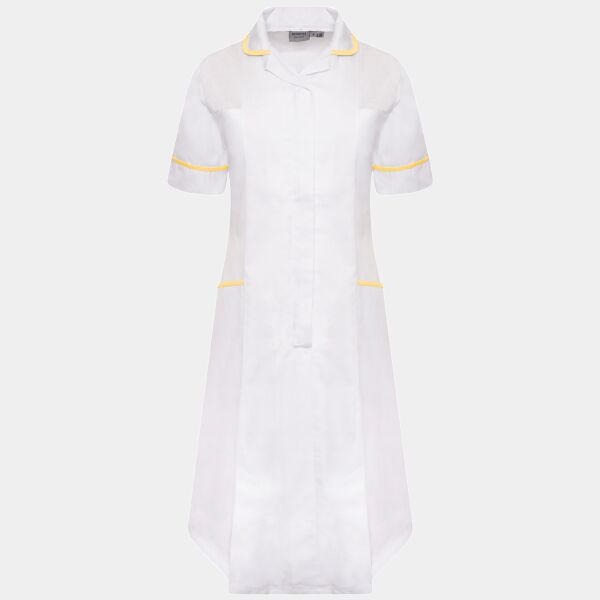 Ladies Dress Thumbnail